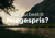 Norgespris og forfallsdato